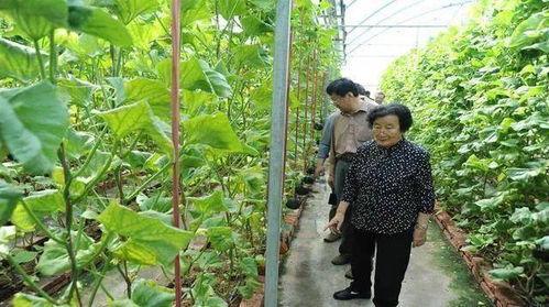 娱乐圈吃瓜超人是谁的小说,娱乐圈吃瓜超人的神秘爱情故事