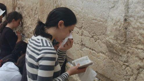 浙江娱乐吃瓜君,揭秘娱乐圈最新热点事件