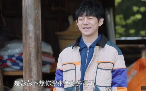 娱乐吃瓜社张艺兴,娱乐圈的“吃瓜”焦点，揭秘他的星途历程