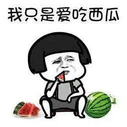 吃瓜娱乐ship,揭秘娱乐圈背后的故事与真相