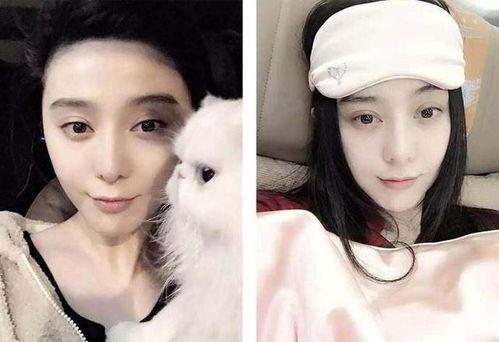 娱乐圈明星吃瓜介绍图,幕后真相大曝光