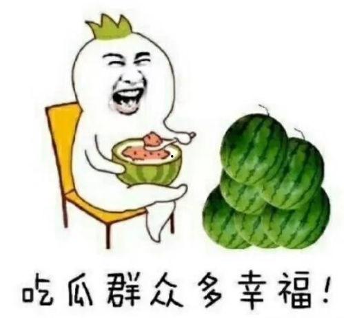带你吃瓜的娱乐设施,揭秘新型娱乐设施的魅力所在
