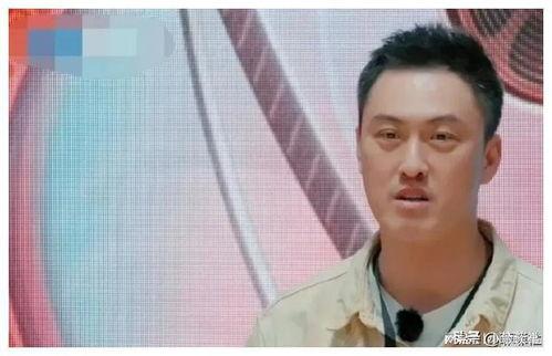 娱乐圈吃瓜 爆料博主,揭秘明星背后的秘密与真相